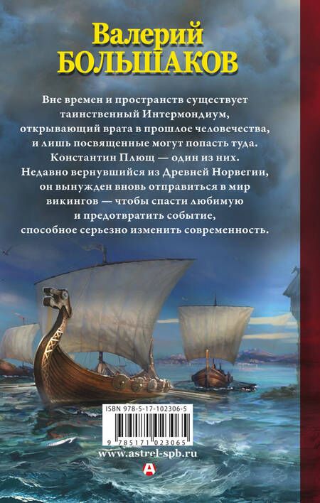 Фотография книги "Большаков: Викинг туманного берега"