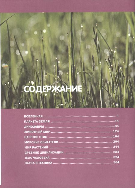 Фотография книги "Большая детская энциклопедия про все на свете."