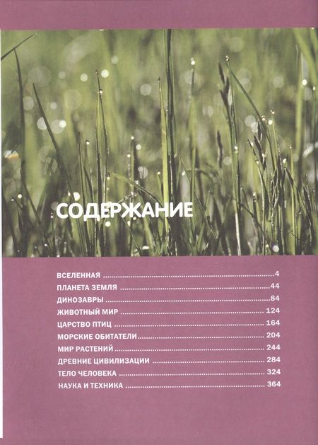 Фотография книги "Большая детская энциклопедия про все на свете."