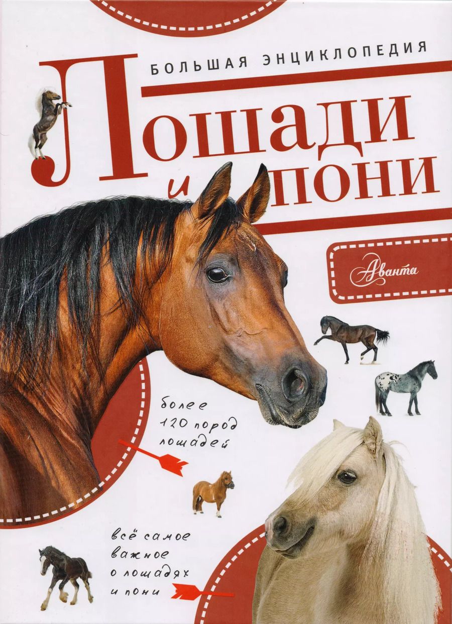 Обложка книги "Большая энциклопедия. Лошади и пони"