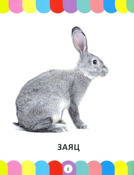 Фотография книги "Большая энциклопедия для малышей от 1 года до 3 лет"