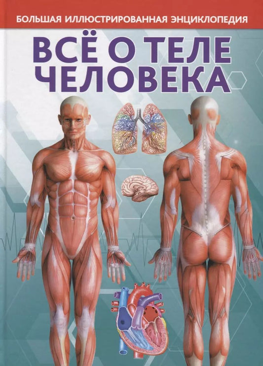 Обложка книги "Большая иллюстрированная энциклопедия. Все о теле человека"