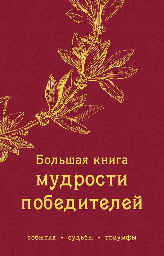 Обложка книги "Большая книга мудрости победителей"