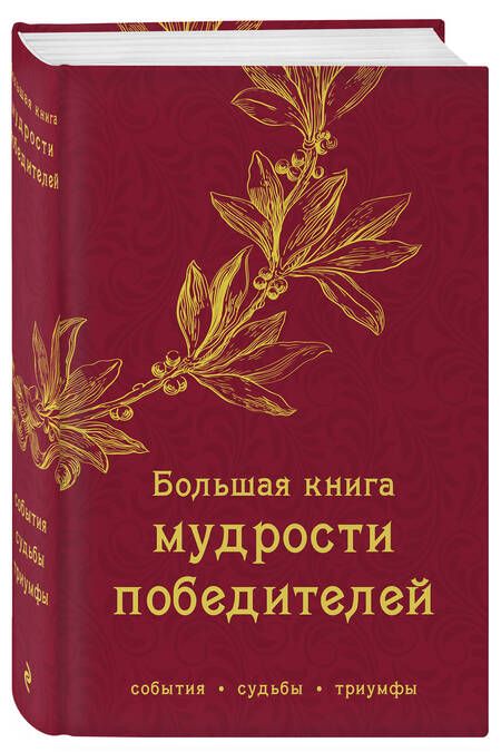 Фотография книги "Большая книга мудрости победителей"
