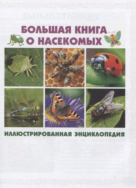 Фотография книги "Большая книга о насекомых. Иллюстрированная энциклопедия"