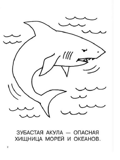 Фотография книги "Большая раскраска. Животные"