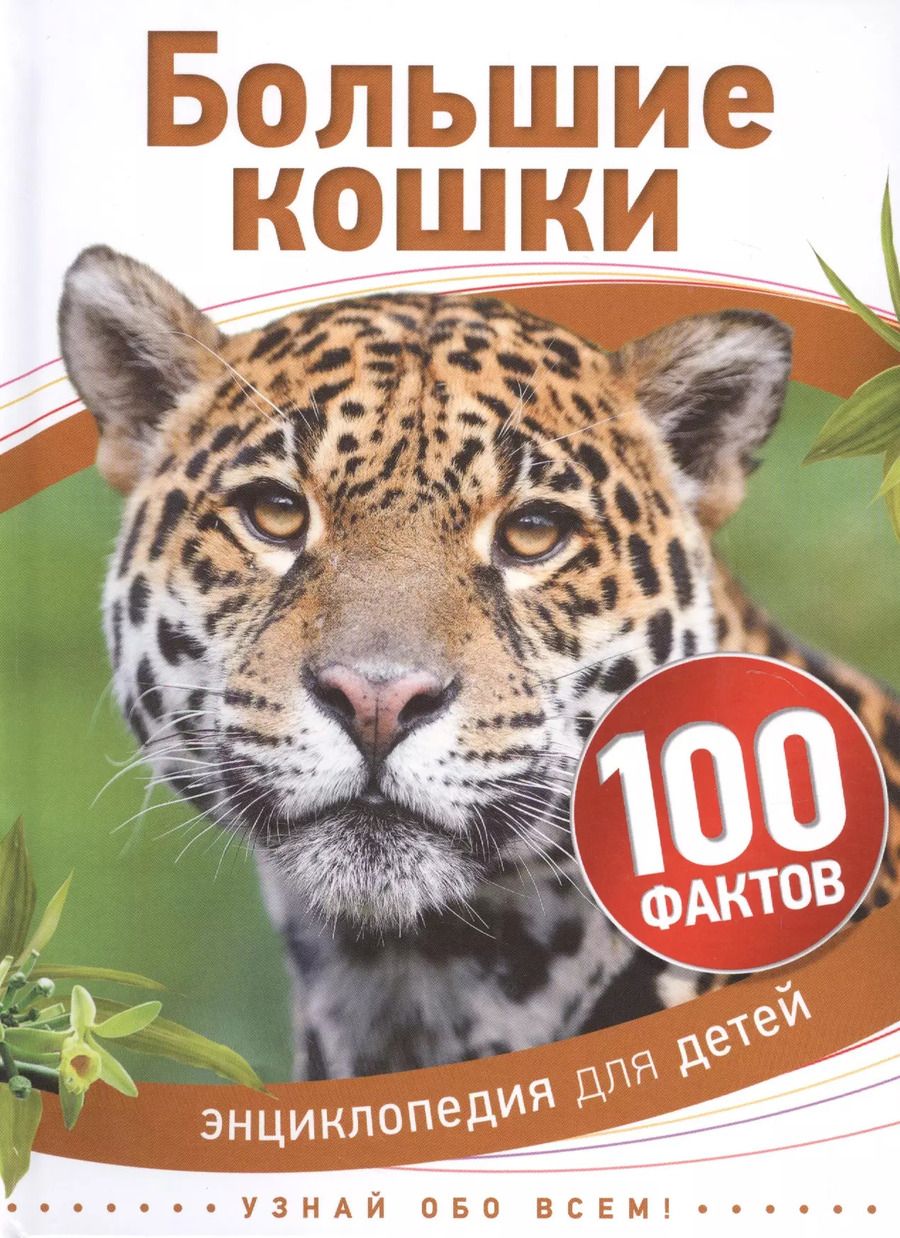 Обложка книги "Большие кошки"