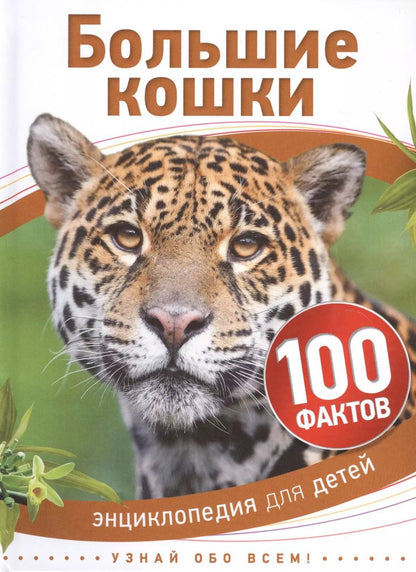Обложка книги "Большие кошки"