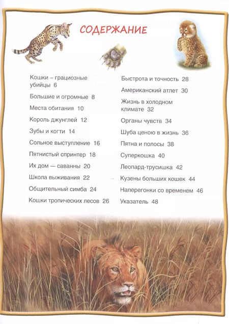Фотография книги "Большие кошки"