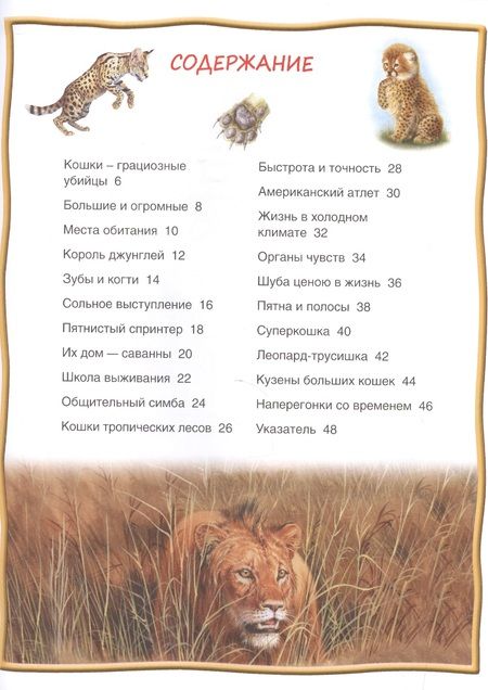 Фотография книги "Большие кошки"