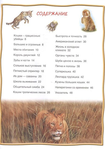 Фотография книги "Большие кошки"