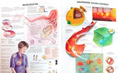 Фотография книги "Большой атлас анатомии человека"