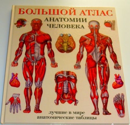 Фотография книги "Большой атлас анатомии человека"