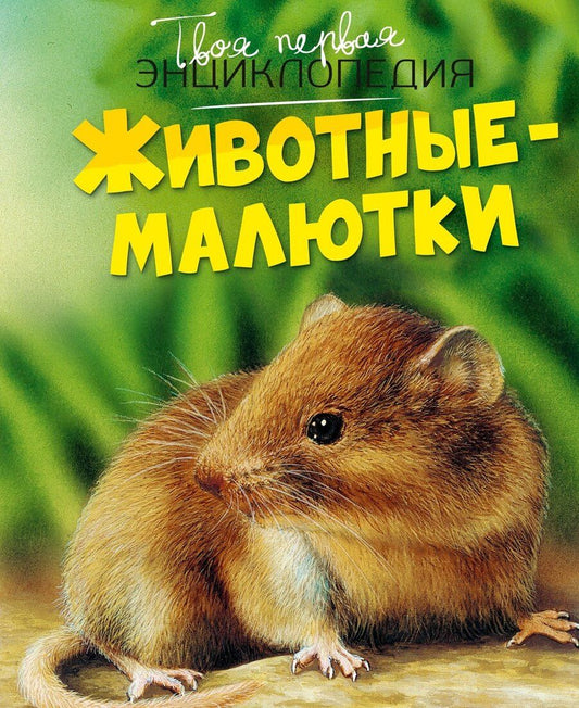 Обложка книги "Бомон, Дельфур: Животные-малютки"