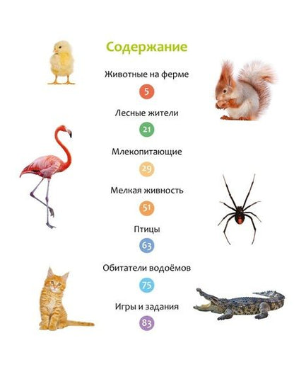 Фотография книги "Бомон Эмили: Животные разных стран"