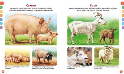 Фотография книги "Бомон Эмили: Животные разных стран"