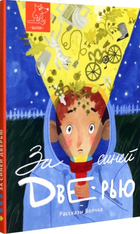 Фотография книги "Бордон, Лукьянова, Сиротин: За синей дверью"