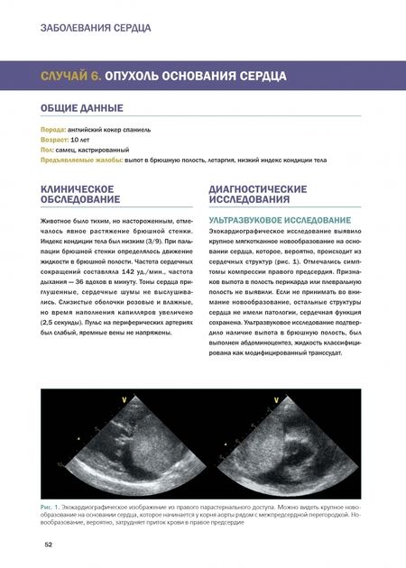 Фотография книги "Боргит, Фернандес: Кардиология и пульмонология собак и кошек. Клинические случаи"