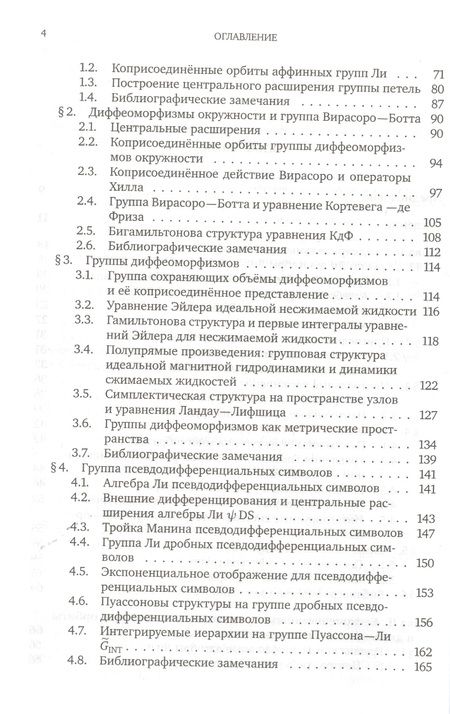 Фотография книги "Борис Хесин: Геометрия бесконечномерных групп"