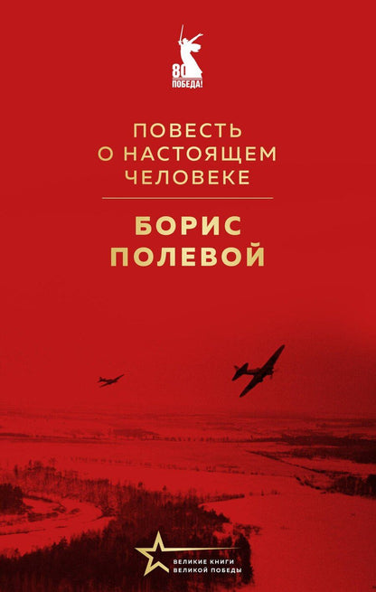 Обложка книги "Борис Полевой: Повесть о настоящем человеке"