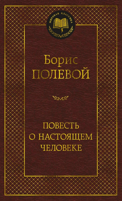 Обложка книги "Борис Полевой: Повесть о настоящем человеке"