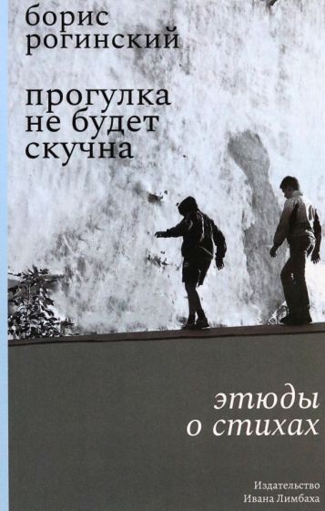 Обложка книги "Борис Рогинский: Прогулка не будет скучна. Этюды о стихах"