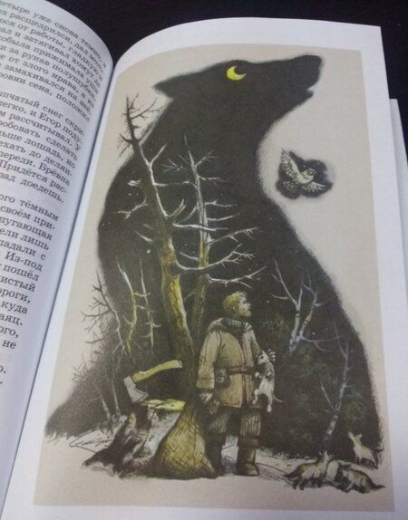 Фотография книги "Борис Воробьев: Весьегонская волчица"