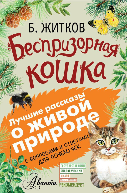 Обложка книги "Борис Житков: Беспризорная кошка"