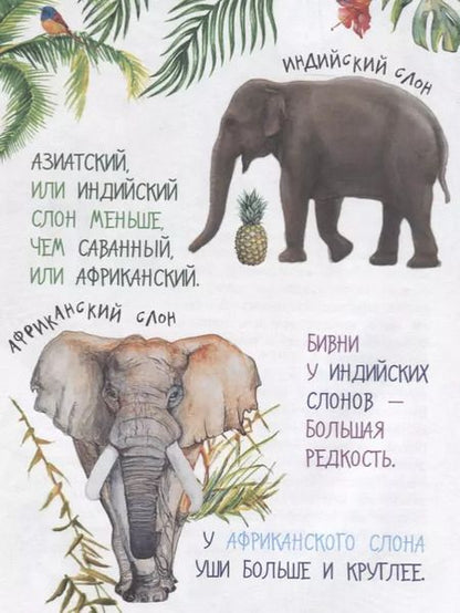 Фотография книги "Борис Житков: Рассказы о животных"