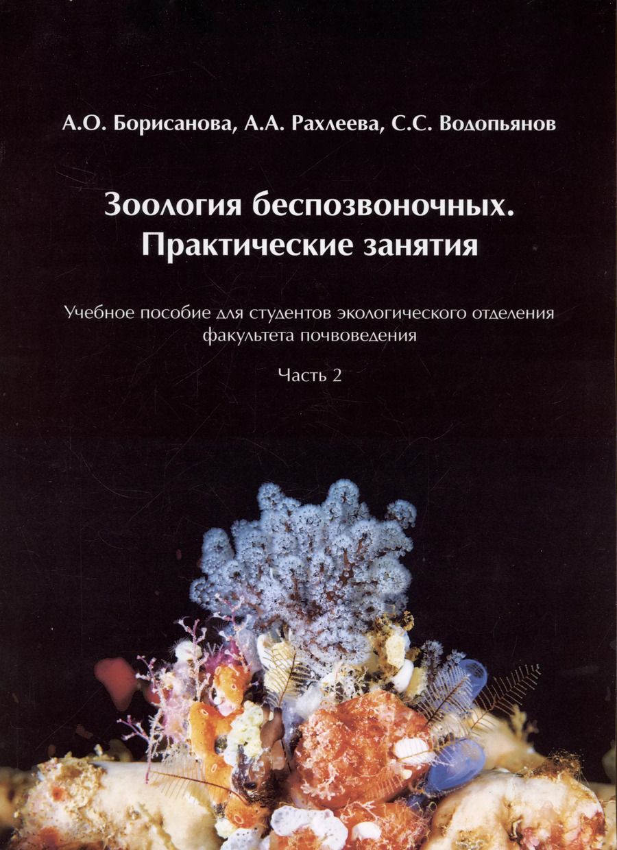 Обложка книги "Борисанова, Водопьянов, Рахлеева: Зоология беспозвоночных. Практические занятия. Учебное пособие для студентов экологического отделения факультета почвоведения. Часть 2"