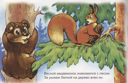 Фотография книги "Борисов, Борисов: Медвежонок Мишутка"