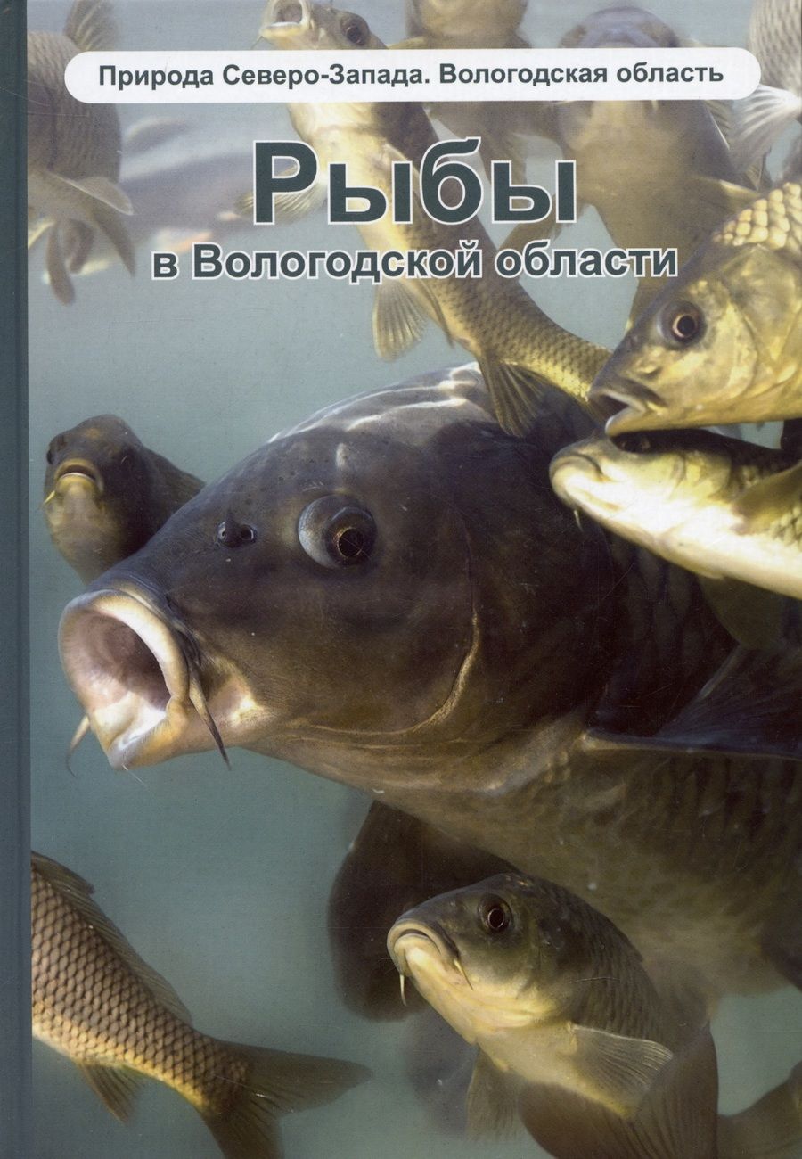 Обложка книги "Борисов, Коновалов, Думнич: Рыбы в Вологодской области. Справочное издание"