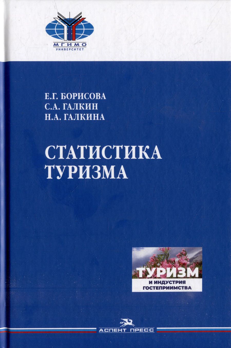 Обложка книги "Борисова, Галкин, Галкина: Статистика туризма"