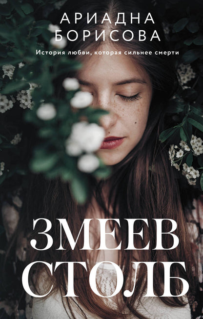Обложка книги "Борисова: Змеев столб"