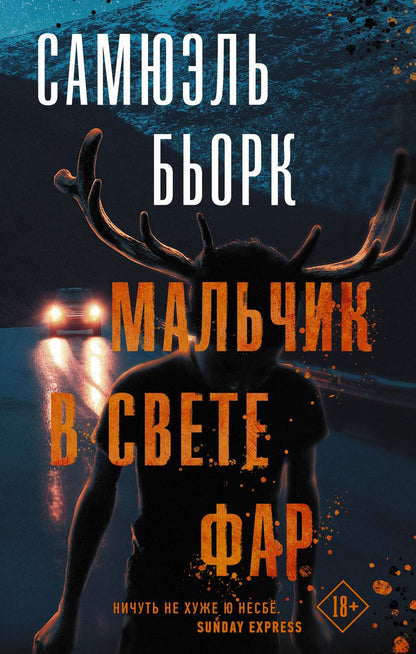 Обложка книги "Бьорк: Мальчик в свете фар"