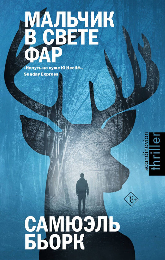 Обложка книги "Бьорк: Мальчик в свете фар"