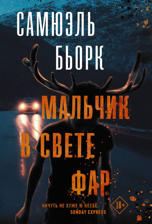 Обложка книги "Бьорк: Мальчик в свете фар"