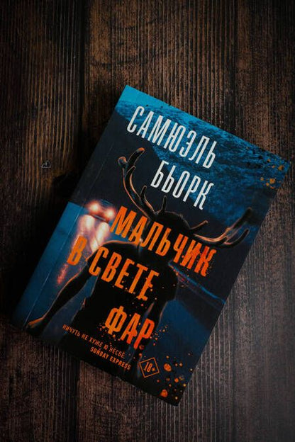 Фотография книги "Бьорк: Мальчик в свете фар"
