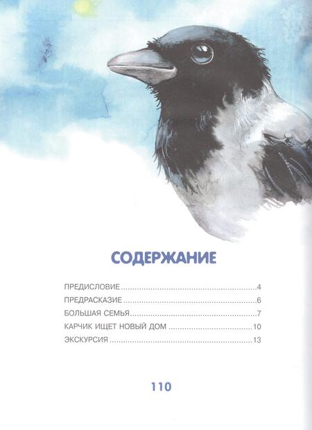 Фотография книги "Боровская, Боровский: Приключения Карчика и его друзей"