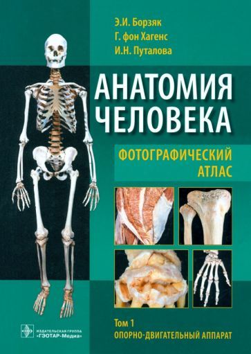 Обложка книги "Борзяк, Гунтер, Путалова: Анатомия человека. Фотографический атлас. Учебное пособие. В 3-х томах. Том 1"