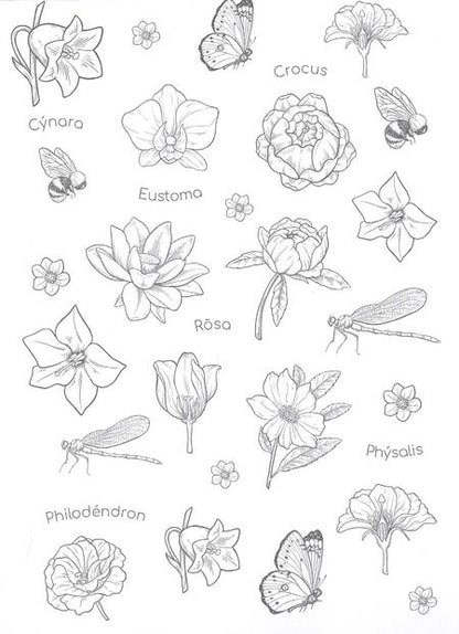 Фотография книги "Ботаника. Раскраска для скетчмаркеров"