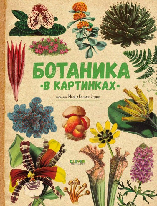Обложка книги "Ботаника в картинках"