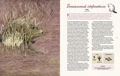 Фотография книги "Боувин Янсен: Наши соседи по планете. Рассказы о диких животных"