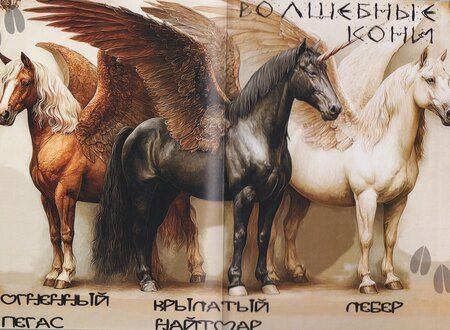 Фотография книги "Боярова, Волжская, Веймар: Код лошади. Том 1"