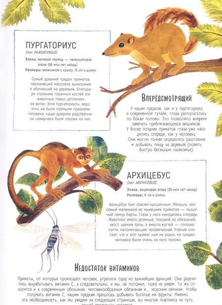 Фотография книги "Брайт: Как мы стали людьми. Невероятные приключения человечества"