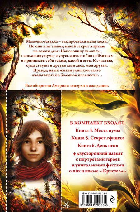 Фотография книги "Брандис: Дети леса. Книги 4-6. Комплект с плакатом"