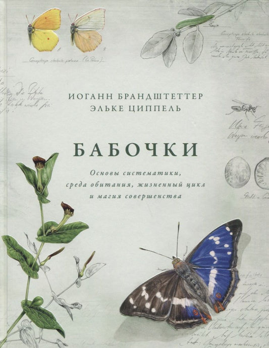 Обложка книги "Брандштеттер, Циппель: Бабочки. Основы систематики, среда обитания, жизненный цикл и магия совершенства"