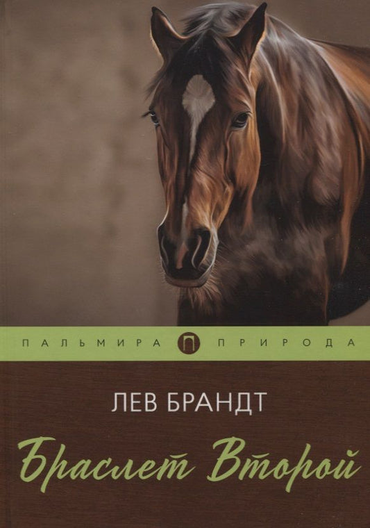 Обложка книги "Брандт: Браслет Второй"