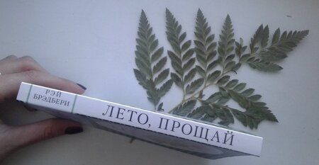 Фотография книги "Брэдбери: Лето, прощай"