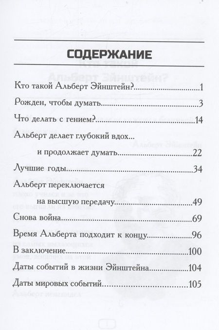 Фотография книги "Брейлер: Кто такой Альберт Эйнштейн?"